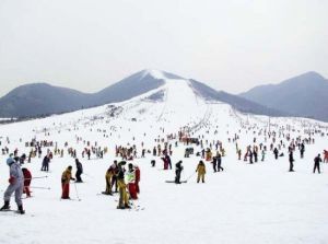 蓮青山滑雪場 蓮青山滑雪場
