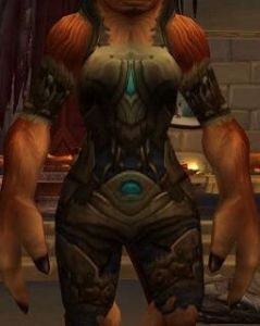 真菌罩衣 真菌罩衣