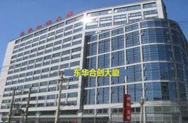 東華軟體股份公司 東華軟體股份公司