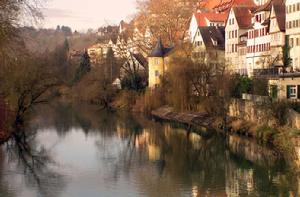 蒂賓根大學 蒂賓根大學