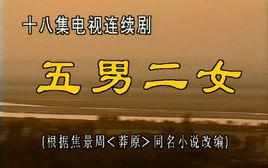 五男二女[1995年李利宏導演電視劇]