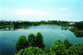 金龍湖[廣東省肇慶市金龍湖]