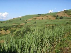 梁子寨自然村 梁子寨自然村