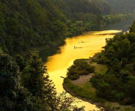 水村村[安徽省祁門縣渚口鄉水村村]