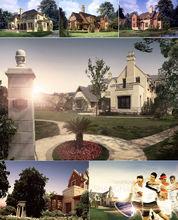 上海中星（集團）有限公司