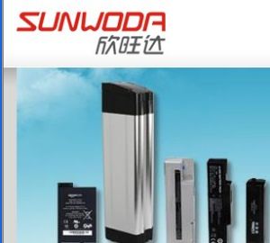 欣旺達電子股份有限公司