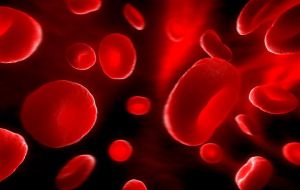 紅細胞分布寬度偏高 紅細胞分布寬度偏高