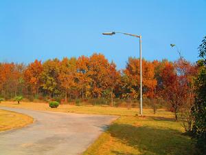 中國科學院電漿物理研究所
