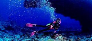 凱旋潛水俱樂部 凱旋潛水俱樂部