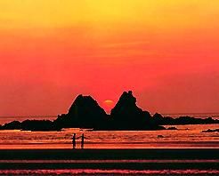 鹿欄晴沙 鹿欄晴沙