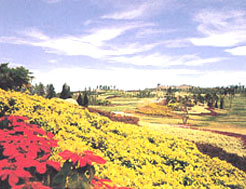 龍崗植物園 龍崗植物園