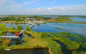 溱湖國家濕地公園