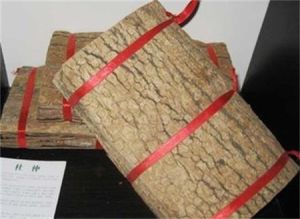 旺蒼杜仲 旺蒼杜仲