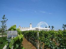 張裕·卡斯特酒莊