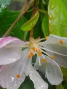 風雲小說閱讀網 風雲小說閱讀網