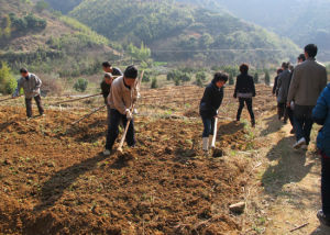 包家淇村 包家淇村