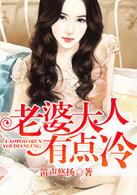 老婆大人有點冷[網路小說]