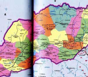 巴潤特花組 巴潤特花組