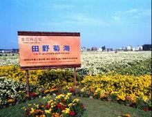 石門鎮[浙江桐鄉市石門鎮]