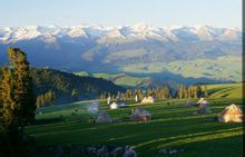 喀拉竣草原春天