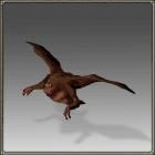 巨型土墓蝠 巨型土墓蝠