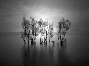 攝影-流逝的風景