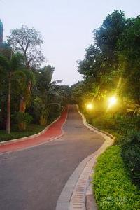 深圳萬科公園裡 深圳萬科公園裡