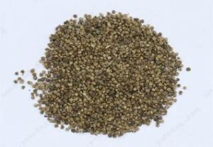 秘傳木通湯 秘傳木通湯