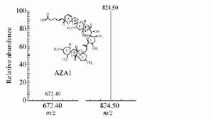 原多甲藻酸貝類毒素電噴霧質譜