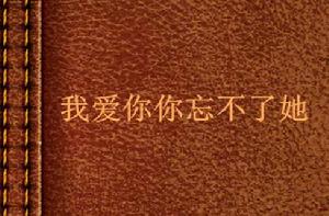 我愛你你忘不了她 我愛你你忘不了她