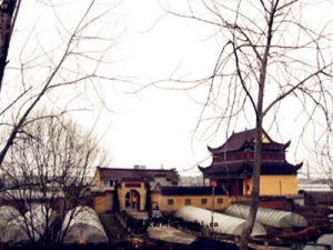 大士禪林 大士禪林