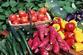 壽光蔬菜 壽光蔬菜