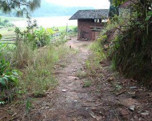 昔擋河自然村 昔擋河自然村