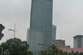 盛大國際金融中心 盛大國際金融中心