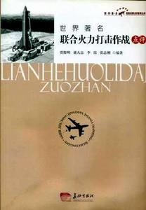 世界著名聯合火力打擊作戰點評 世界著名聯合火力打擊作戰點評