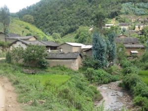 豬蛇河村 豬蛇河村