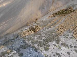 （圖）霜凍黃色預警信號