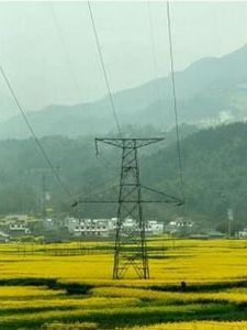 我國電網規模已居世界第一位