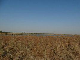 海子湖[永寧海子湖]