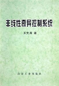 非線性奇異控制系統 非線性奇異控制系統