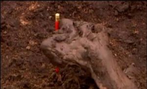 愛爾蘭發現4000年前神秘“沼澤人”