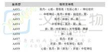 不同AAV血清型的組織親和性