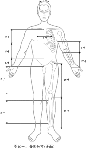 骨度分寸示意圖