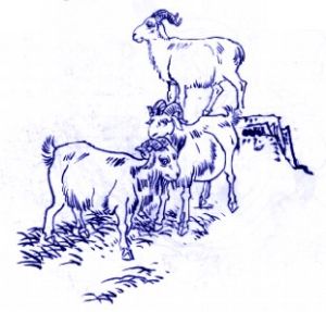 （圖）三陽開泰