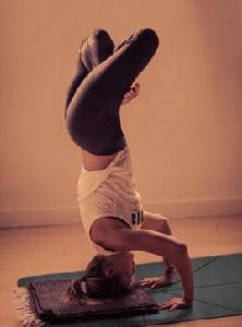 側公雞式 側公雞式