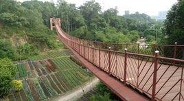 百色起義紀念公園 百色起義紀念公園