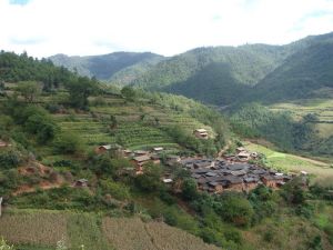 白松堵自然村 白松堵自然村