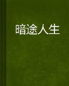 暗途人生 暗途人生