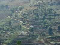 岩子窩自然村 岩子窩自然村