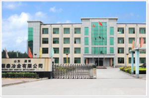 金順達集團 金順達集團